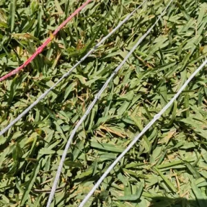 Fabricación de líneas y Pigtails a medida, trimado y ajuste de barras